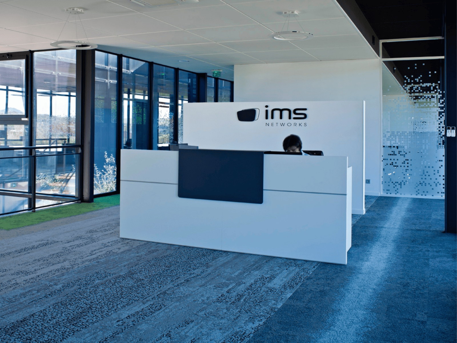 ims 1