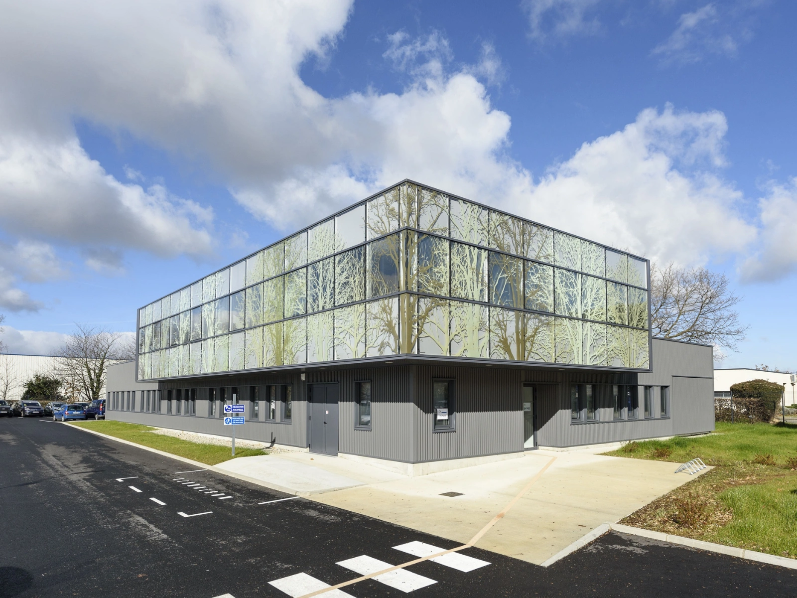 façade vitrée avec stickers d'arbres pour la connexion avec la nature