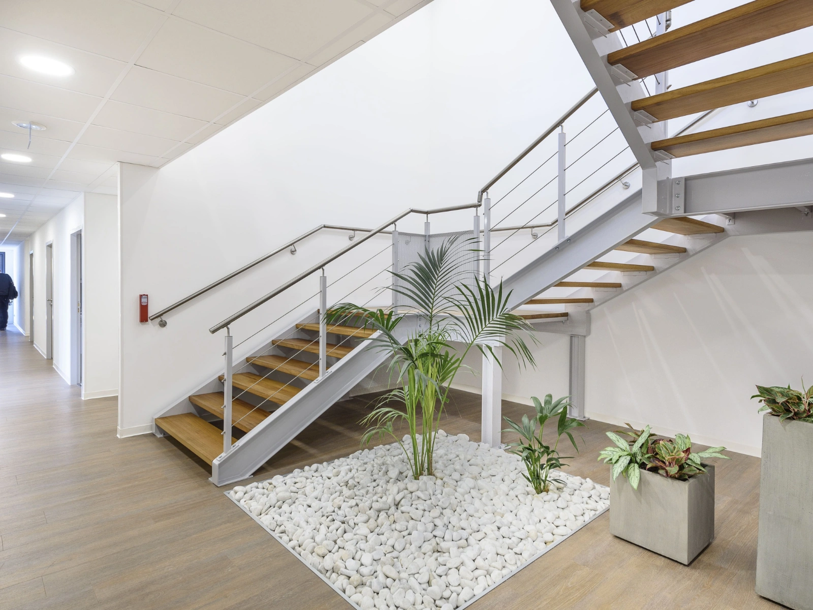 escaliers modernes et épurés avec plantes